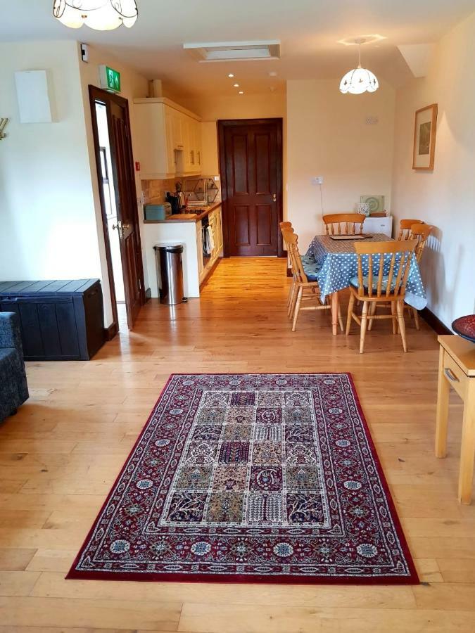 Nanny Quinn'S Apartment Killucan 外观 照片